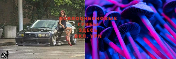 стафф Дмитров