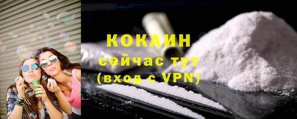 сатива Дмитровск