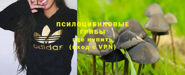 сатива Дмитровск