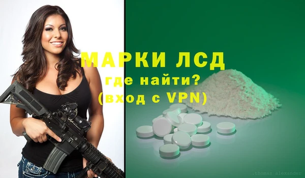 стафф Дмитров