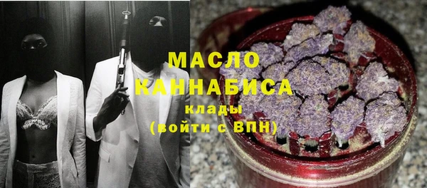 сатива Дмитровск