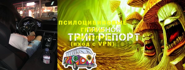 сатива Дмитровск