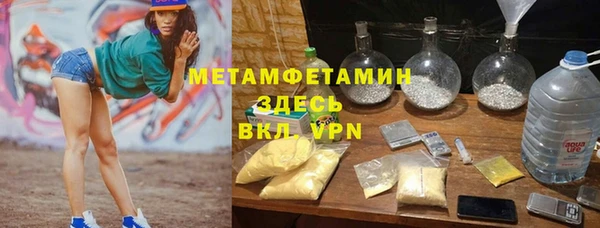 сатива Дмитровск