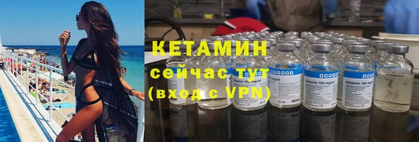 сатива Дмитровск
